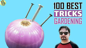 Best 100 GARDENING IDEAS